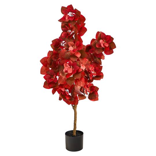4ft. Potted Autumn Pomegranate Tree